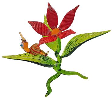 Blüte mit Schnecke / Blüte rot